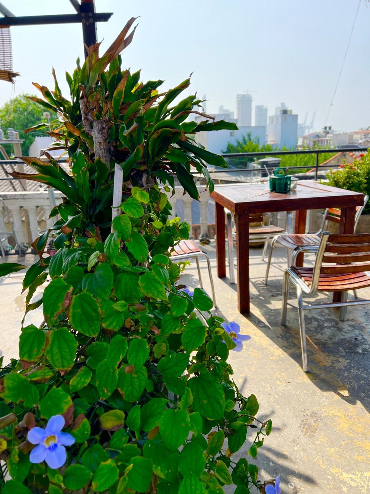La Viduka Hostel Cartagena المظهر الخارجي الصورة